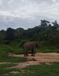 Hutan dan Hancurnya Lumbung Kesejahteraan Rakyat