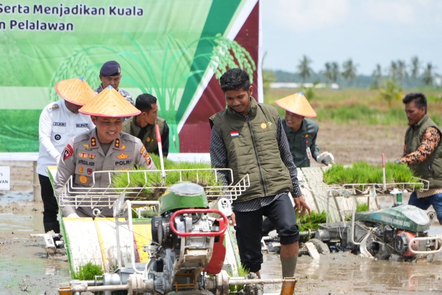 Dukung ketahanan Pangan, Kapolres Pelalawan Dampingi Bupati Hadiri Penanaman Padi Serentak di Kuala Kampar