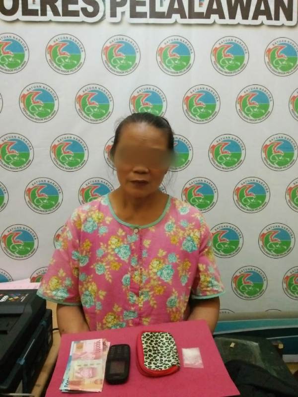 Diduga Sebagai Bandar, Nenek 57 Tahun Diborgol Sat Narkoba Polres Pelalawan