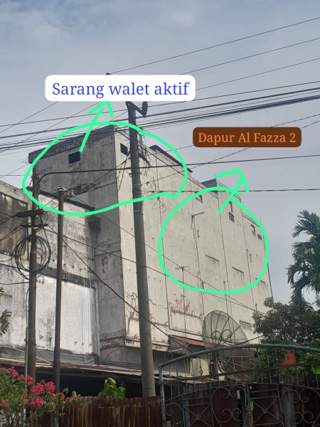 Sarang Walet Dekat Dapur Al Fazza 2, Dinas Kesehatan Siak Terkejut Dan Akan Lakukan Inspeksi