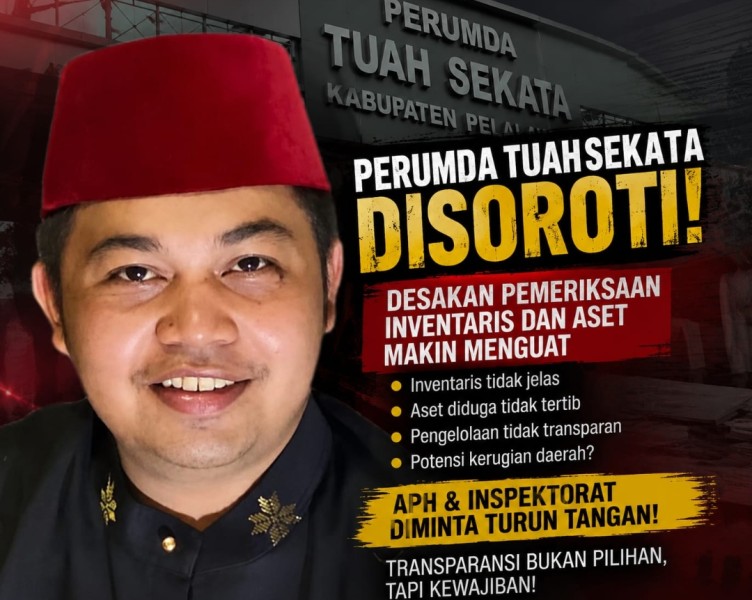DSP Desak Pemda dan APJ Pelalawan Inventarisir Aset BUMD, Termasuk yang Tidak Terdaftar