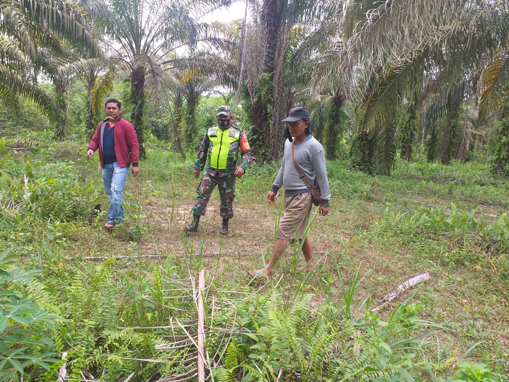 Serda Venus Luberto Minta Masyarakat Perawang Barat Tidak Bakar Hutan Dan Lahan