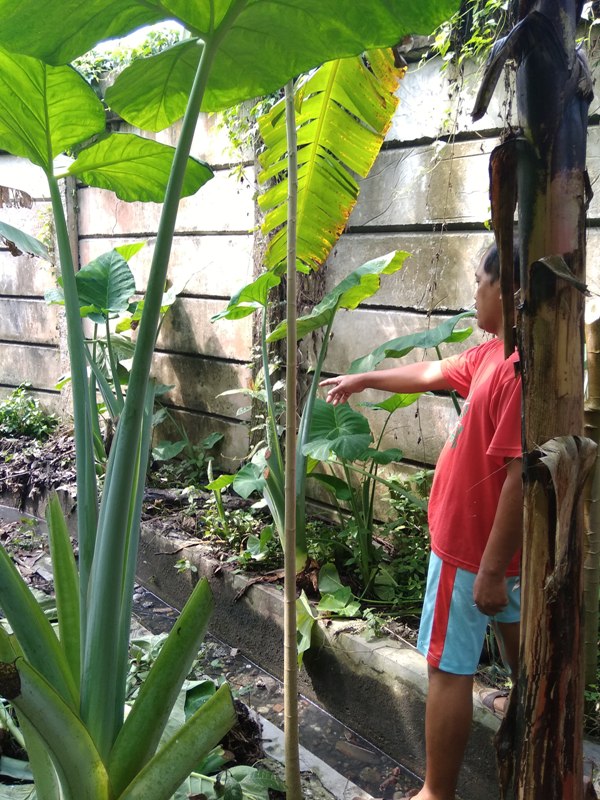 Air Dari Drainase Milik PT Habi Diduga Sebabkan Gatal-Gatal Pada Warga PST