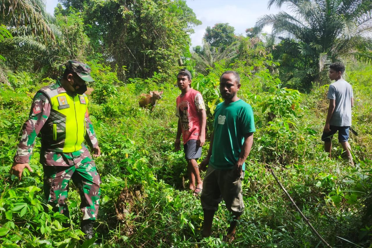 Antisipasi Karhutla, Kopda Wahyuddin Sisir Hutan dan Lahan di Pinang Sebatang