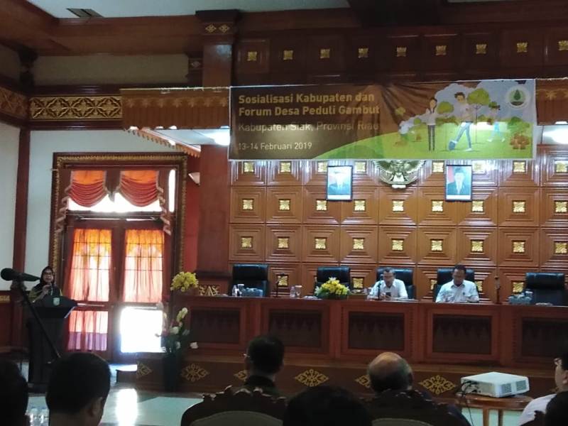 Siak Jadi Percontohan Restorasi Gambut BRG RI