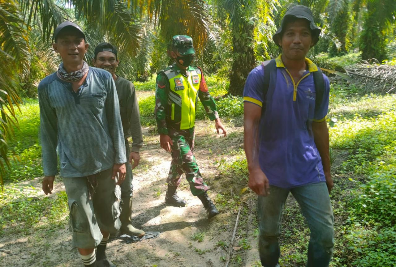 Bersama Masyarakat, Kopda Suratno Sisir Hutan dan Lahan Kelurahan Perawang