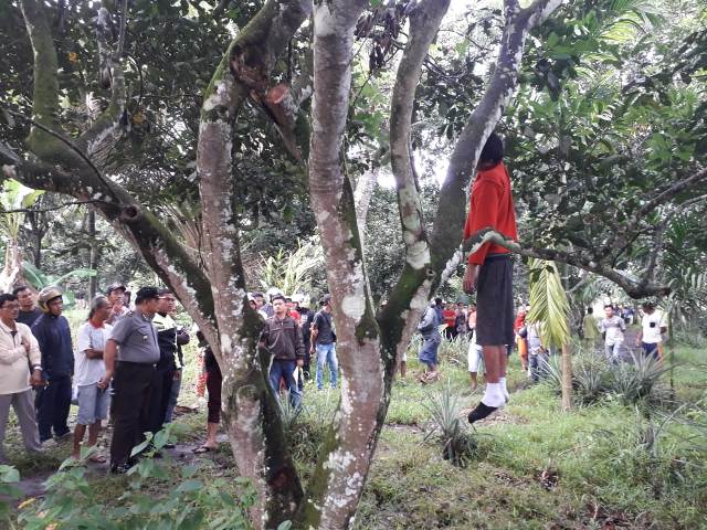 Warga PST Temukan Pria Gantung Diri di Pohon Rambutan