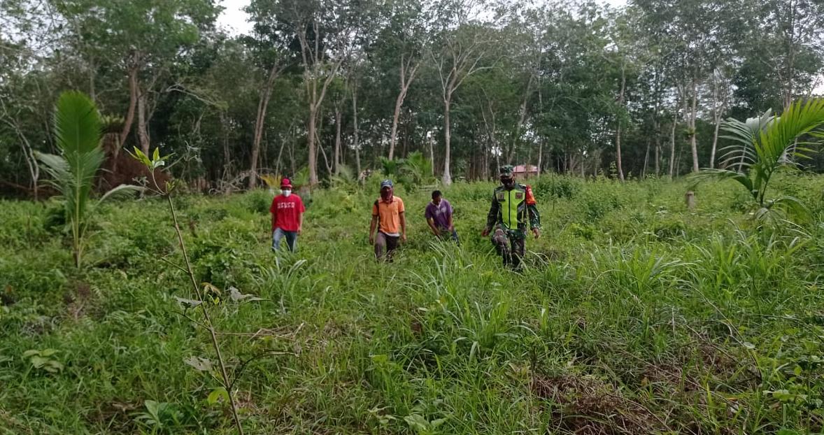 Kopda Lasroha Sigalingging Lakukan Patroli Sosialisasi Karhutla di Teluk Rimba