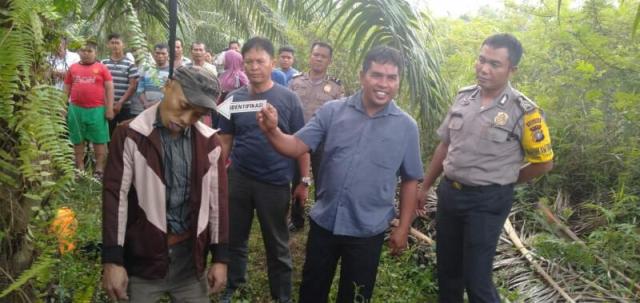 Warga Ujung Tanjung Dihebohkan Dengan Penemuan Mayat Bertopi Yang Tergantung Dipelepah Pohon Sawit