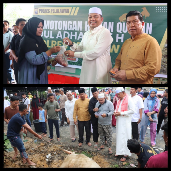 Hari Raya Idul Adha 1445 Hijriah, Polres Pelalawan Sembelih 9 Ekor Sapi Qurban