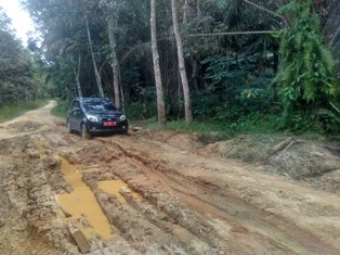 Kades Sesalkan PT Sarikat Putra Yang Enggan Perbaiki Jalan Masyarakat