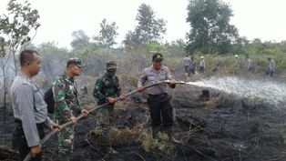 Kebakaran Lahan Gambut di Dusun Sejati Berhasil Dipadamkan Team Karhutla Rohil