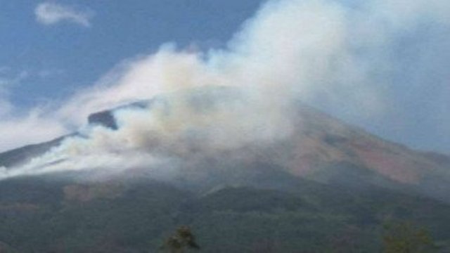 Hutan di Gunung Sindoro Terbakar, Jalur Pendakian Ditutup