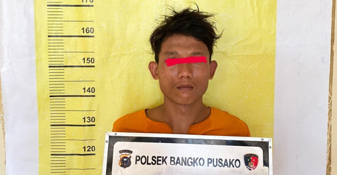 Terekam CCTV Gasak Sarang Walet ,Warga Tanah Putih Di Tangkap Polisi
