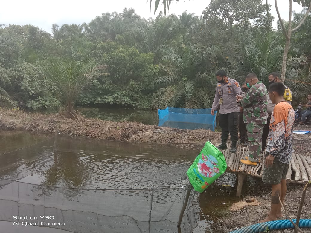 Kapolsek: Alhamdulillah, Bibit Ikan dan Jagung Berkembang Pesat, Semoga Bermanfaat Untuk Masyarakat