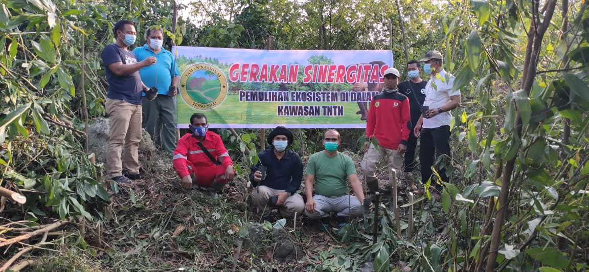 Gerakan Sinergitas Pemulihan Ekosistem Di Dalam Kawasan Hutan Taman Nasional Tesso Nilo (TNTN)