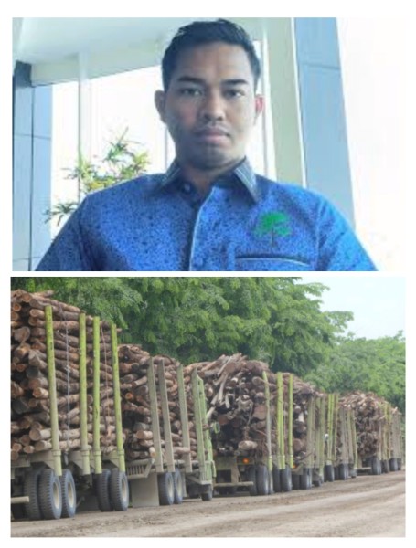 Greenwashing RAPP, Olah Kayu Ilegal Dari Skema Sosial
