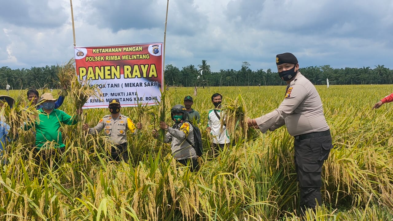 Program Jaga Kampung, Sodikin : Memenuhi Kebutuhan Pangan Mandiri