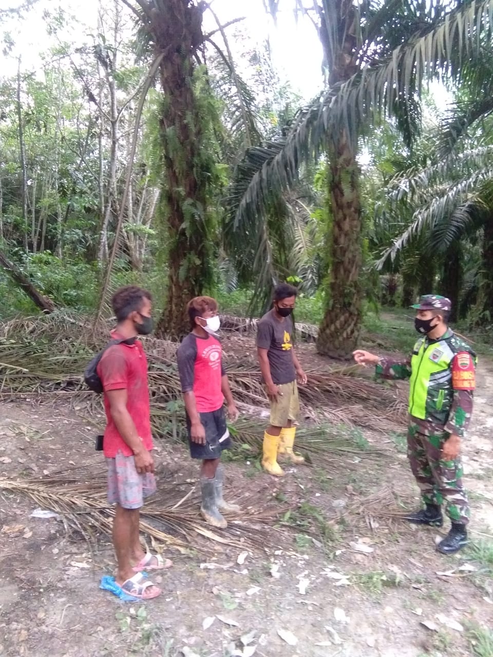 Patroli dan Sosialisasi Karhutla di Tualang Timur, Kopda Heri Kiswanto Sisir Lahan Masyarakat