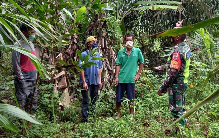 Cegah Karhutla, Sertu TH Hutagalung Sisir Hutan Dan Lahan masyarakat PSB