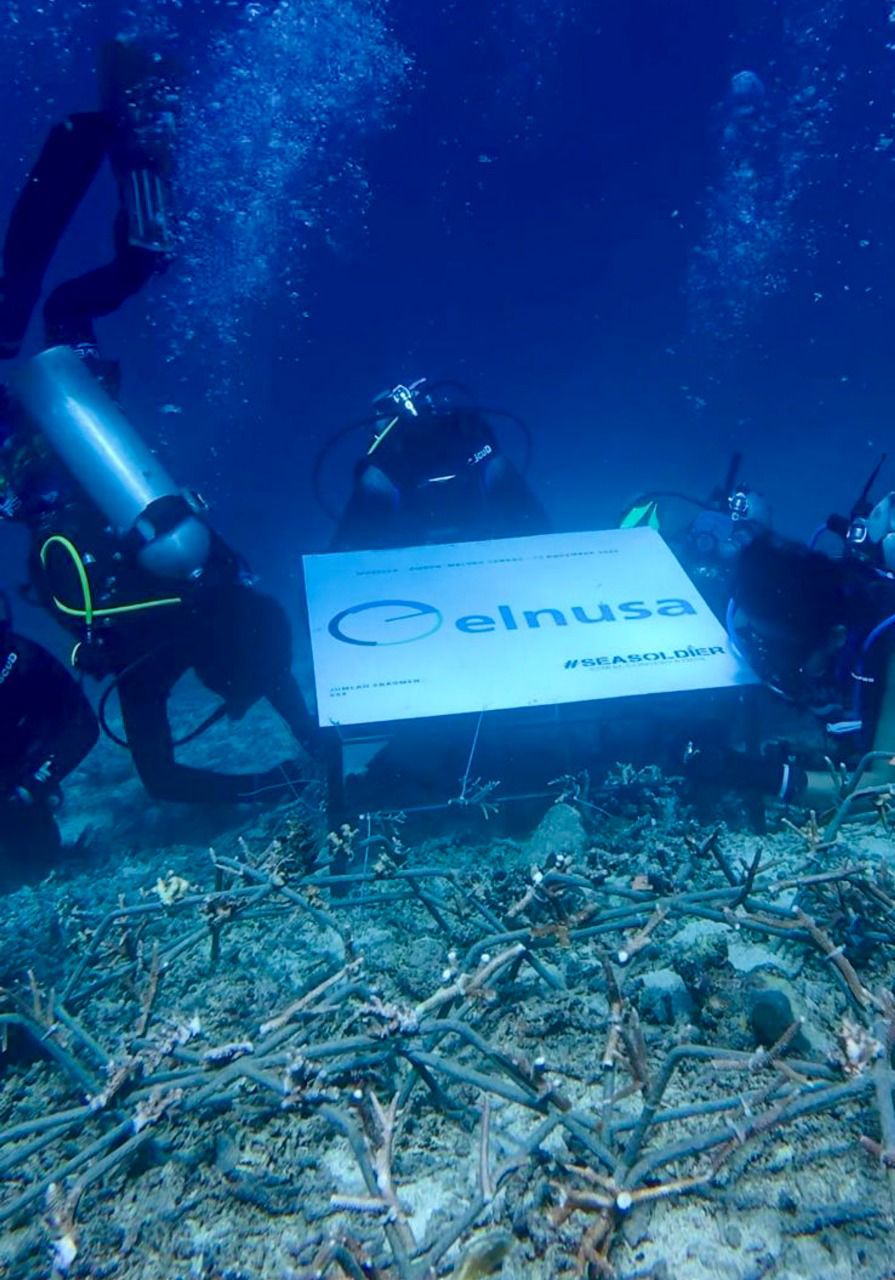 Dari Maluku untuk Indonesia: Elnusa Rawat Laut, Hidupkan Harapan Bersama Terumbu Karang