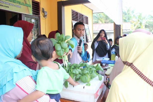 Peningkatan Ekonomi Desa, Tim Pengabdian UNRI Ajarkan Hidroponik Ke PKK Desa Betung