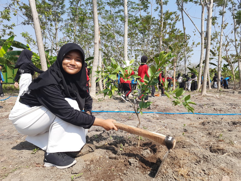 Tanam 1000 Pohon di Lingkungan Sekolah, PEPC JTB Berikan Pengalaman Positif Generasi Masa Kini