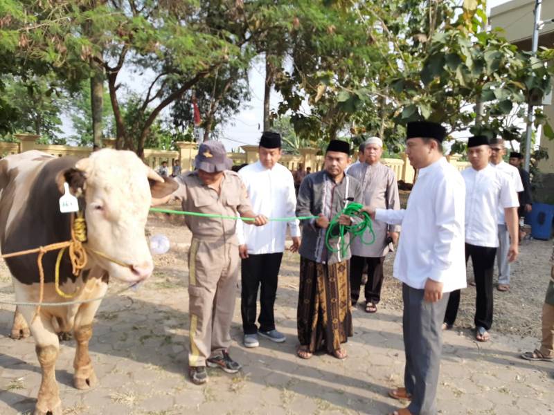 Polda Banten Sembelih 62 Ekor Hewan Qurban