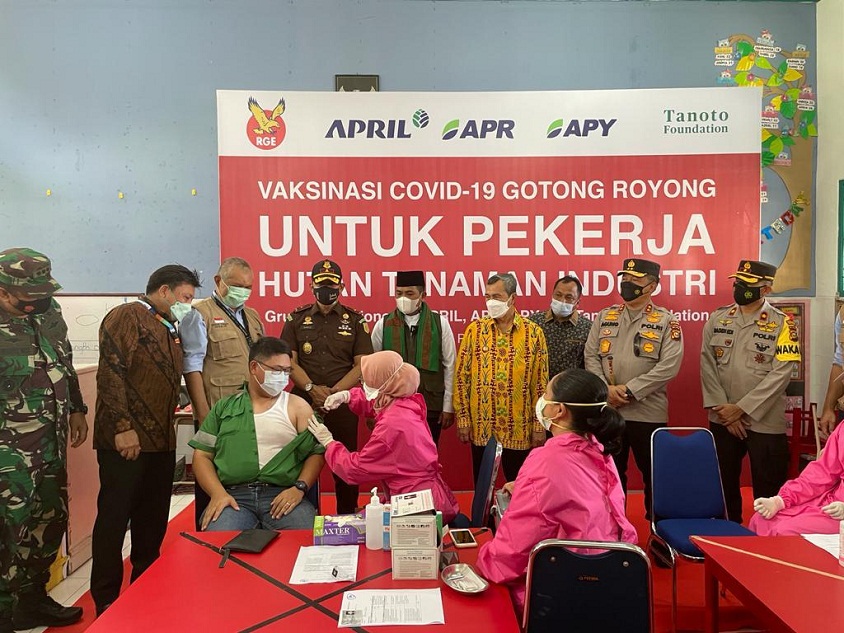 RAPP Dukung Pemulihan Ekonomi Sektor Hutan Tanaman Industri
