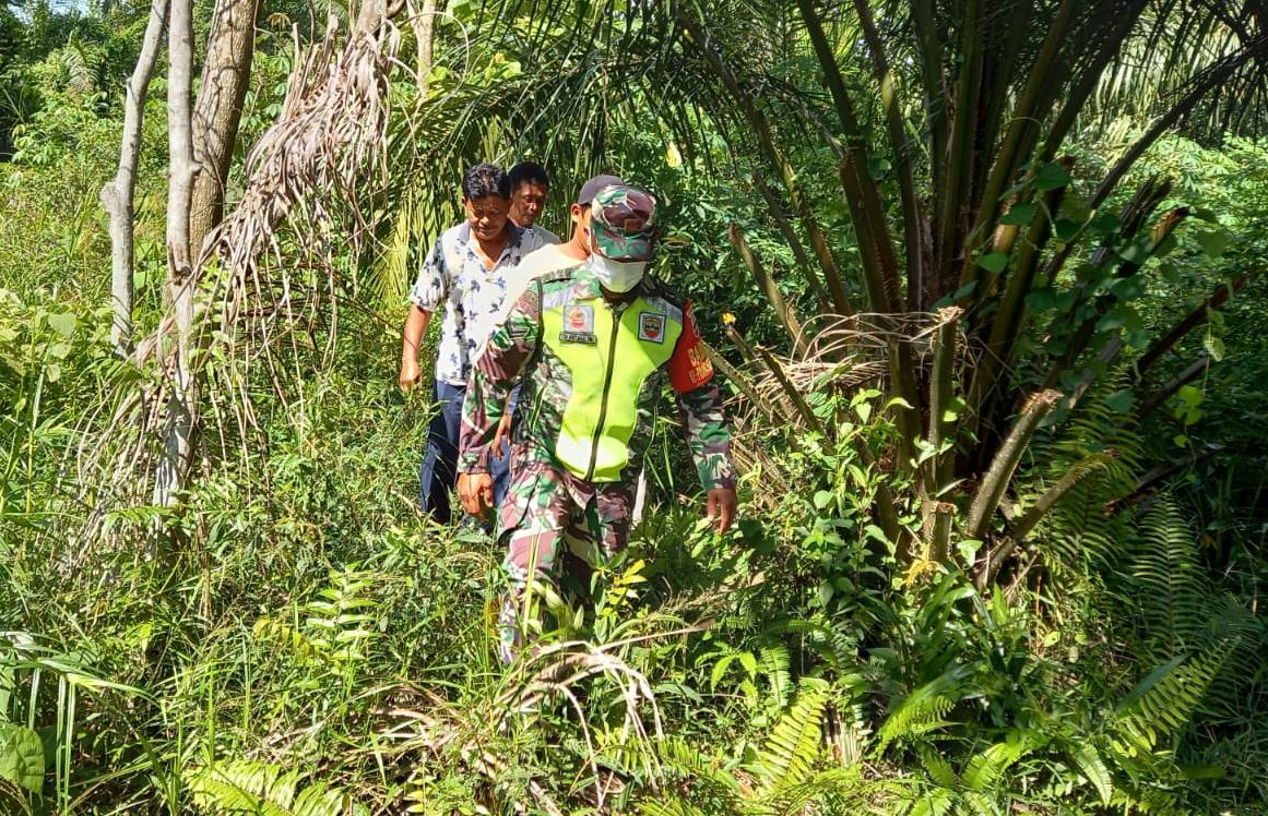 Sertu TH Hutagalung Minta Masyarakat Ikut Menjaga Hutan dan Lahan Agar Tidak Terbakar