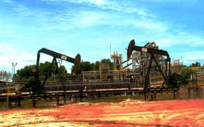 Banyak Peluang Potensi, Pemkab Rohil Undang Investor ke Rohil