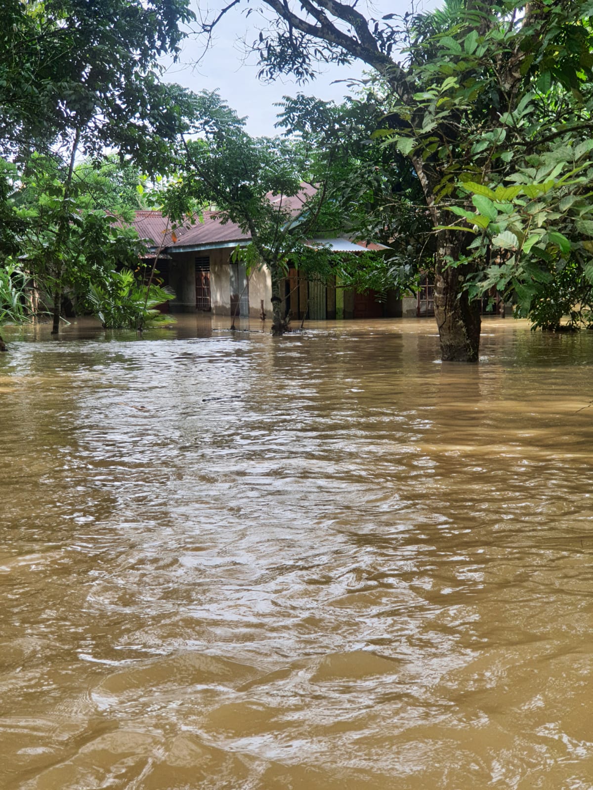 Akibat Banjir Bandang, Sejumlah Rumah di Kecamatan Kelayang  Inhu Tengelam