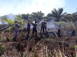 Karhutla di Bangko Pusako Diperkirakan Sudah Mencapai 200 Hektar