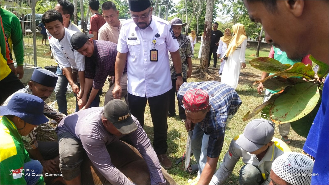 Sembelih Hewan Qurban Idul Adha ,Kadis LH Suwandi Akui Terjadi Penurunan