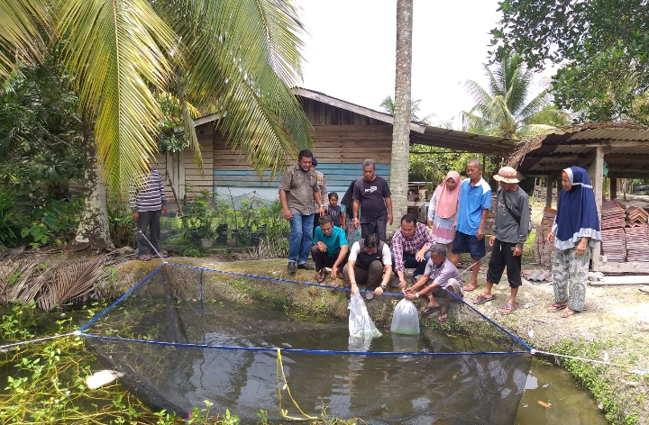 Tingkatkan ekonomi Masyarakat, NSR dan NWR Serahkan 20 Ribu Bibit Ikan