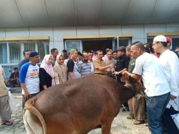 Sabtu Besok, PWI Riau Akan Sembelih 7 Ekor Sapi dan 2 Ekor Kambing