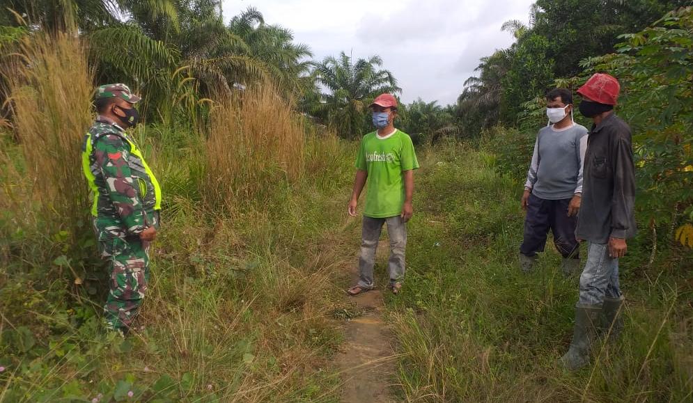 Terbukti Bakar Hutan Dan Lahan, Penjara Menanti