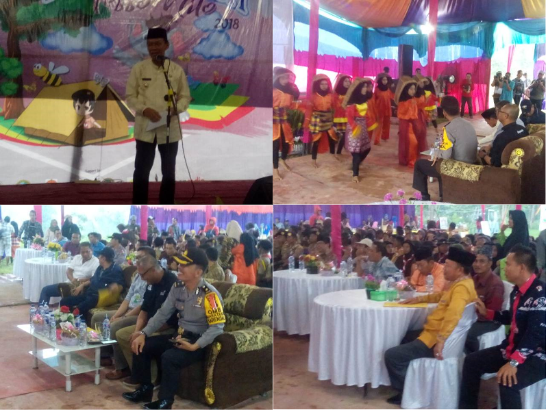 Wakil Bupati Pelalawan Buka Kegiatan Festival Teso Nilo Tahun 2018