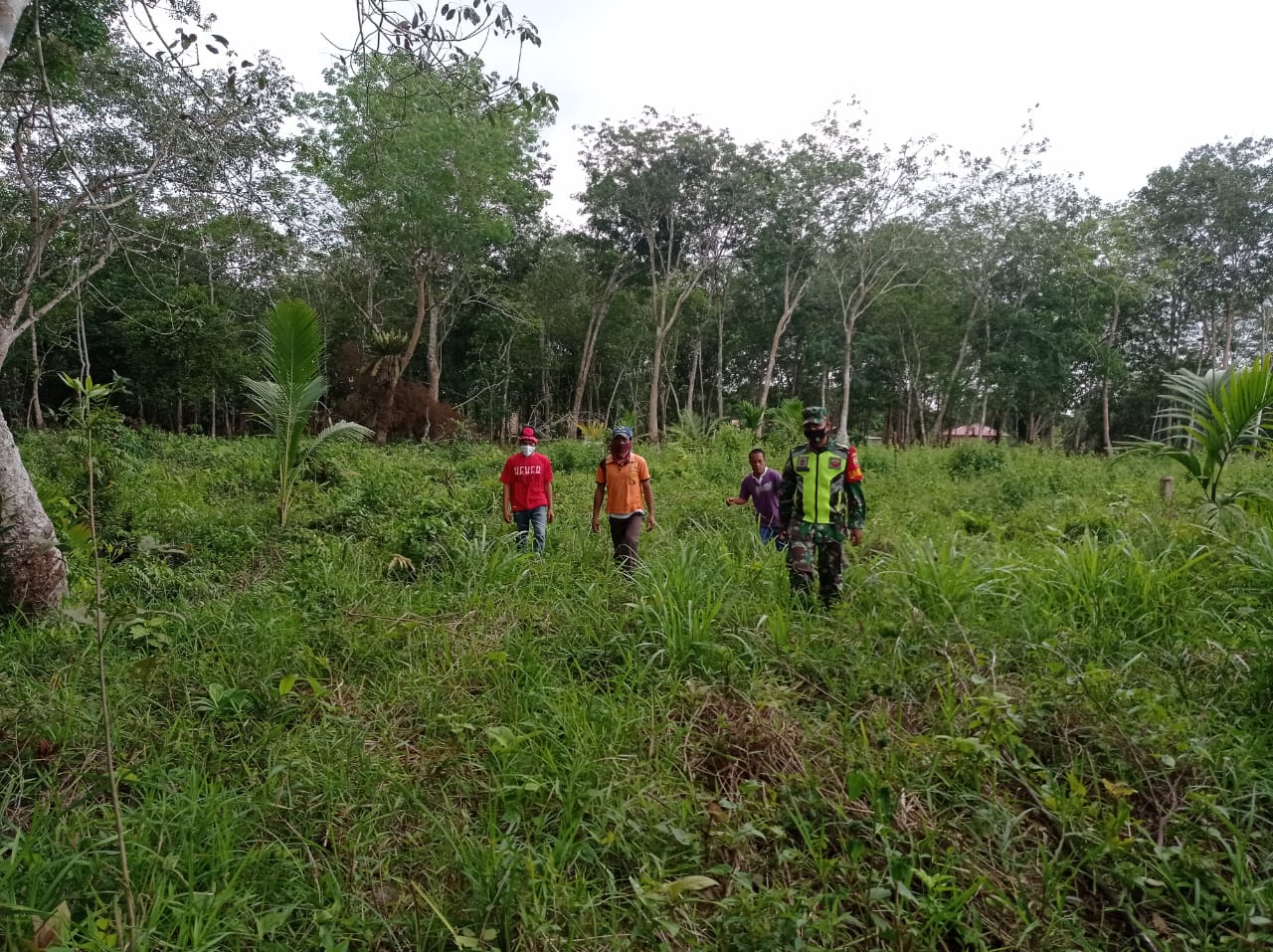 Kopda Lasroha Sigalingging Ajak Masyarakat Untuk Tidak Membakar Lahan
