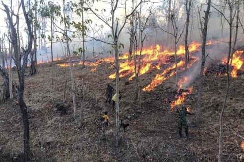 Satgas Pamtas Yonif 132 Bantu Padamkan Kebakaran di Ladang Warga