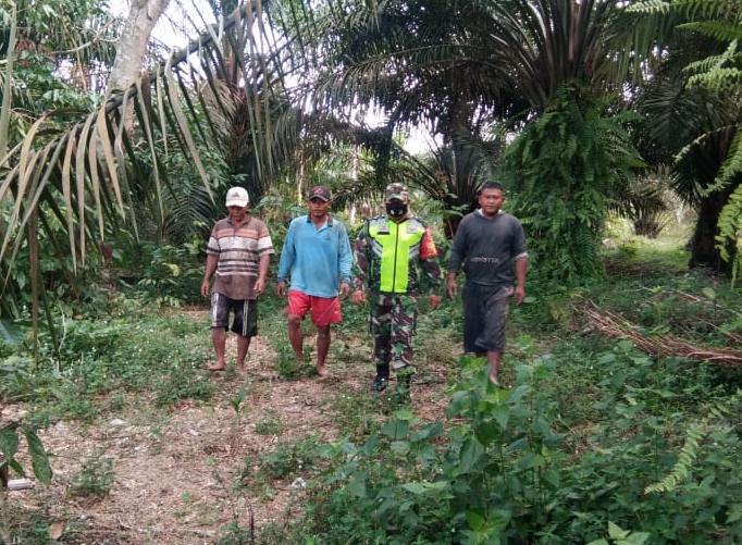 Serma Syafri Sisir Lahan Masyarakat Yang Rawan Karhutla