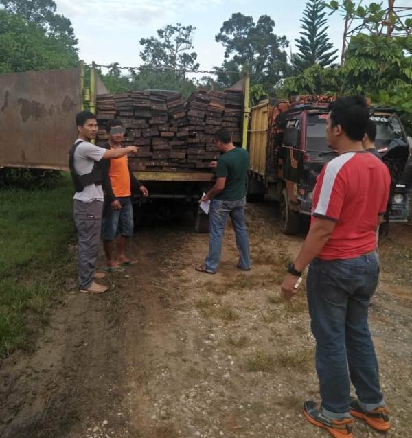 Satu Truck Kayu Alam Olahan Tanpa Dokumen, Kembali Diamankan Jajaran Polsek Ukui