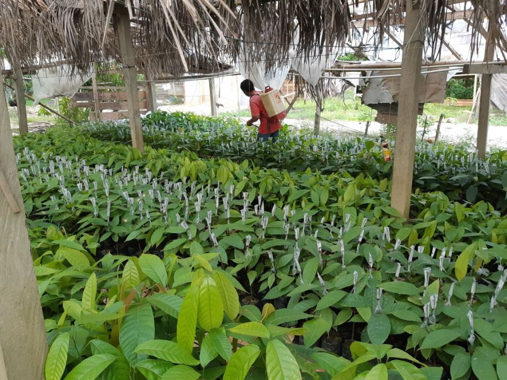 Inilah Tiga Program Andalan BPDASHL Inrok KLHK Turunkan Laju Deforestasi