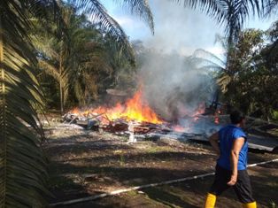 Dilalap Sijago Merah, Rumah Panggung di Sabak Auh Rata Dengan Tanah