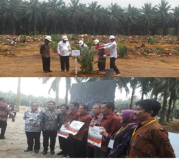 Presiden Jokowi Luncurkan Program Reflanting Kebun Sawit Masyarakat Transmigrasi
