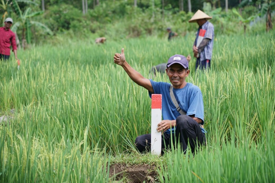 Mudik ke Kampung Halaman? Jaga Batas Tanah sebagai Langkah Awal Cegah Konflik Antartetangga
