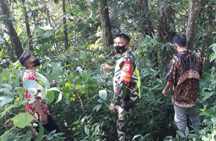 Sisir Hutan dan Lahan, Serda Gunawan Tidak Temukan Titik Api
