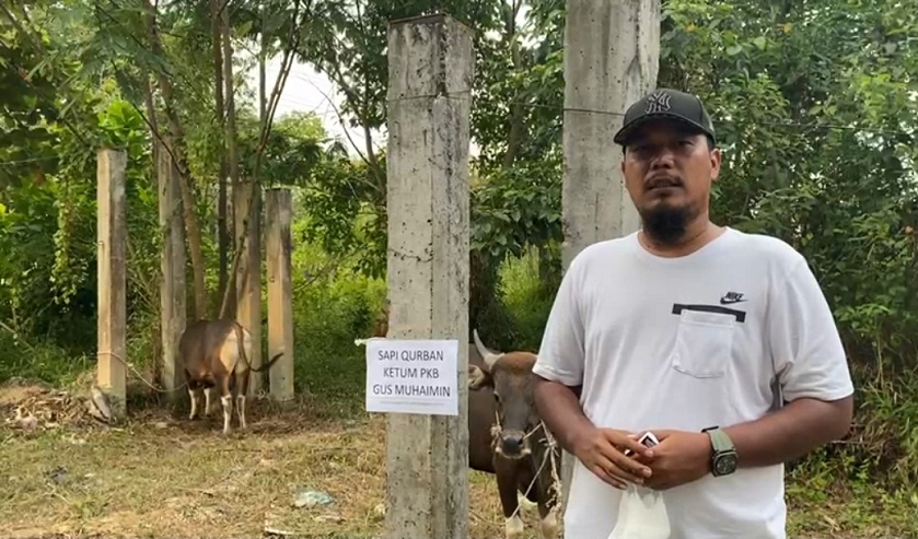 Ketum PKB Gus Muhaimin Kirim Sapi Qurban Untuk Masyarakat Riau