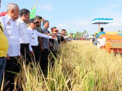 Potensi Pertanian dalam Pelalawan Makmur