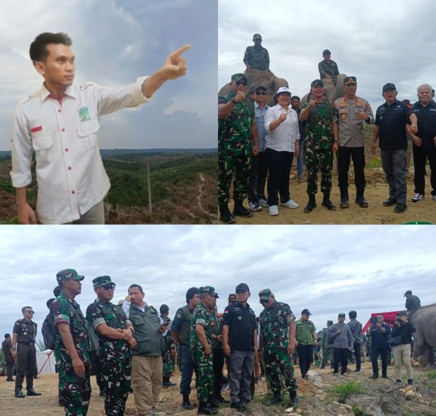 Biang Kerusakan Hutan Konservasi KAMMI Desak Satgas PKH Tindak Tegas PT.PSJ Tadah TBS Ilegal Dari TNTN